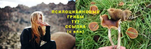 тгк Баксан